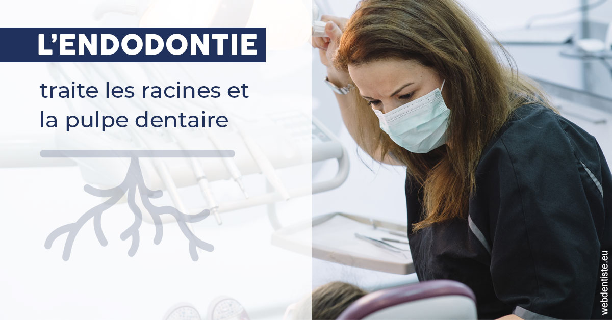 https://dr-alain-huet.chirurgiens-dentistes.fr/L'endodontie 1