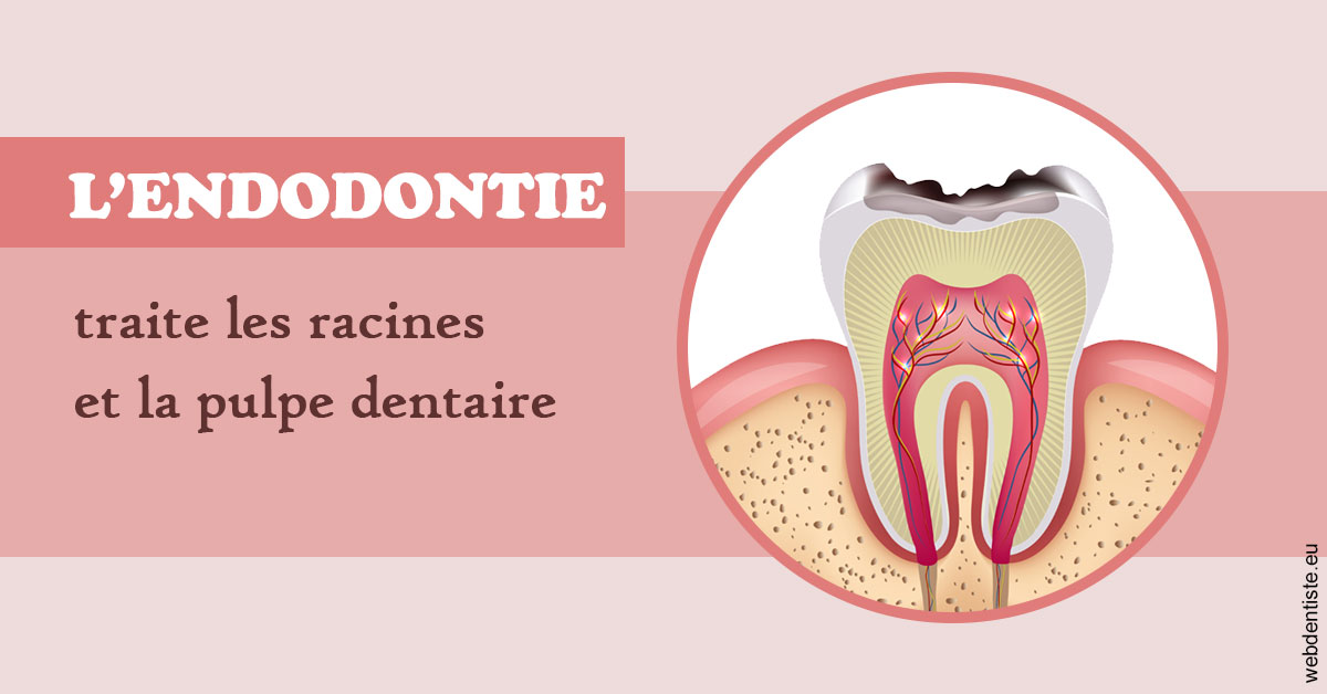 https://dr-alain-huet.chirurgiens-dentistes.fr/L'endodontie 2