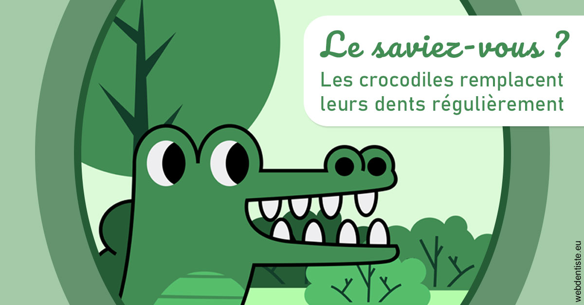 https://dr-alain-huet.chirurgiens-dentistes.fr/Crocodiles 2